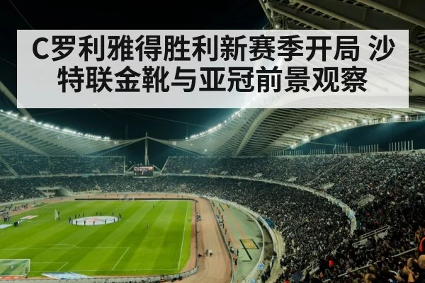 soccer stadium night crowd